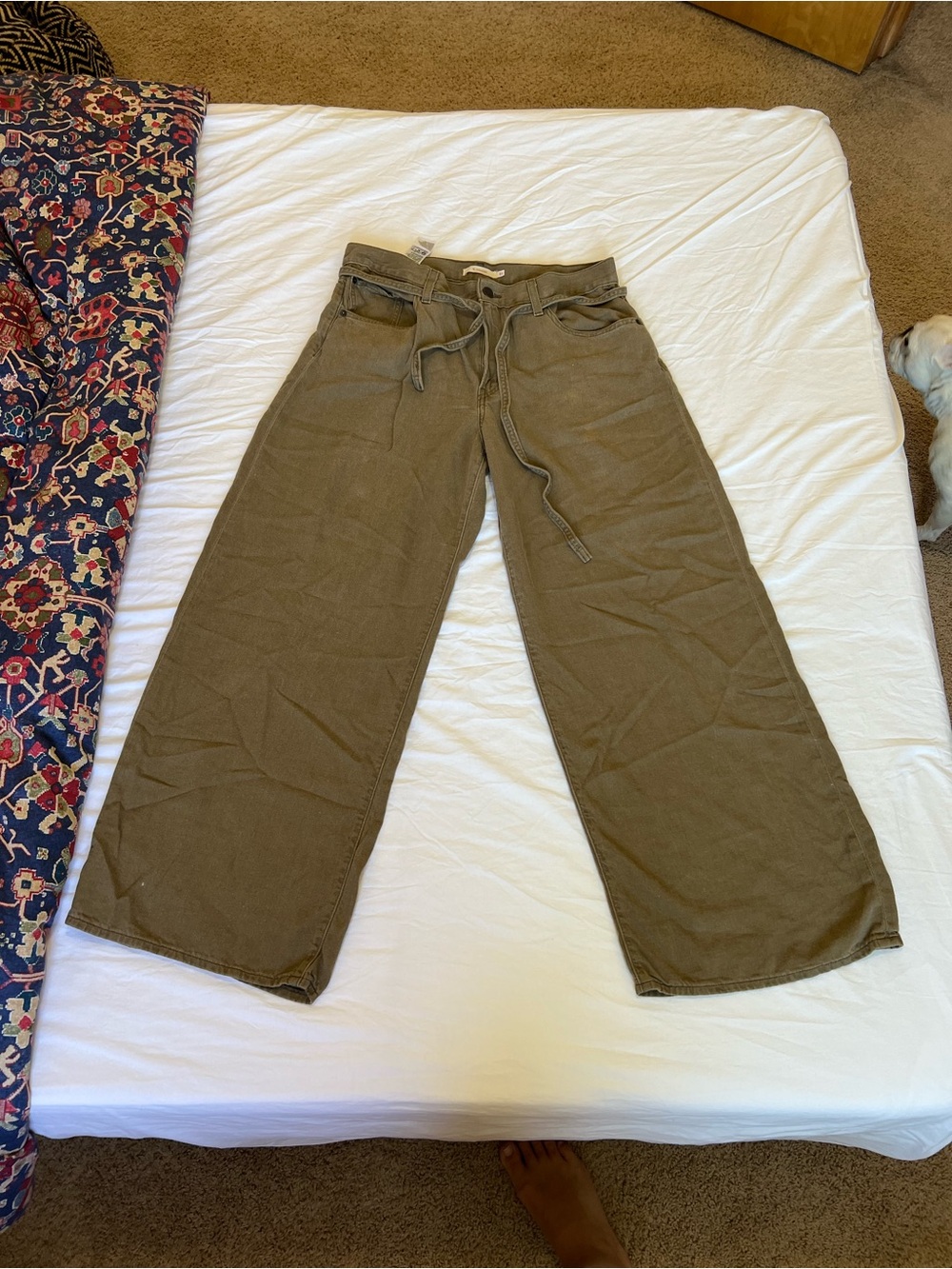 Levi's Olive/brown xl straight size 31